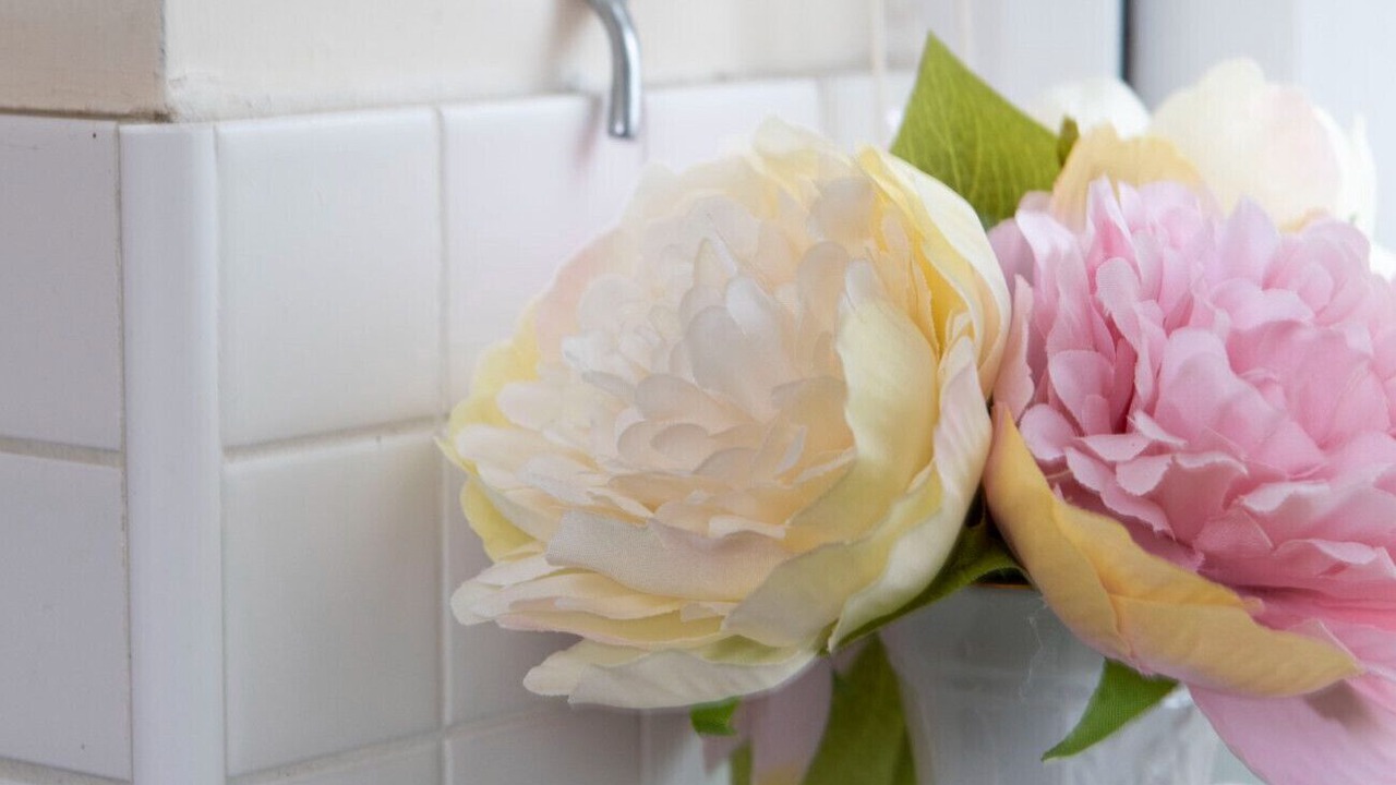 Photo of Others in Norwich