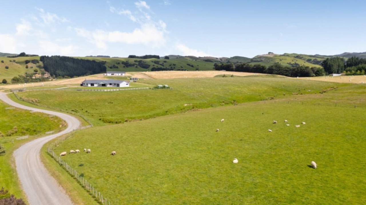 Photo of Others in Wairarapa