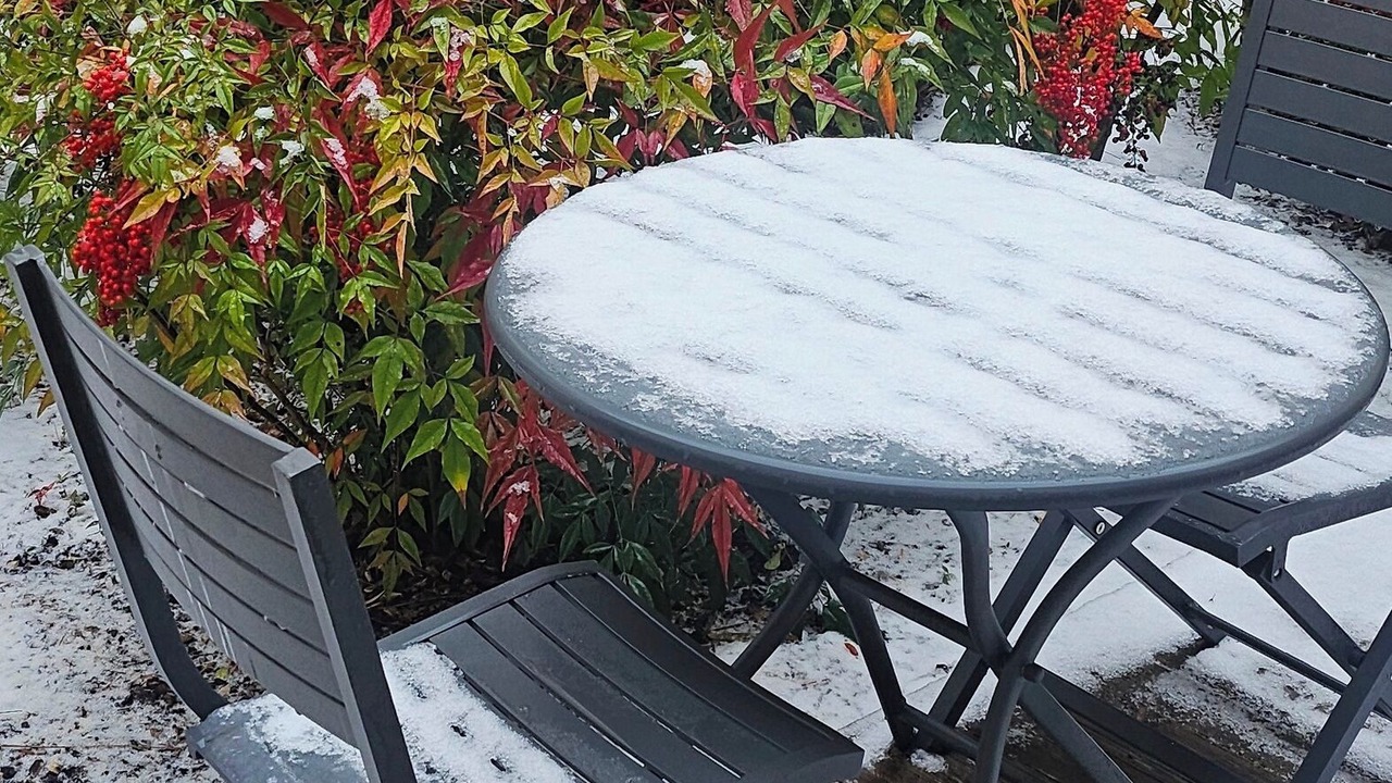 Photo of Patio Balcony in Faubourg North
