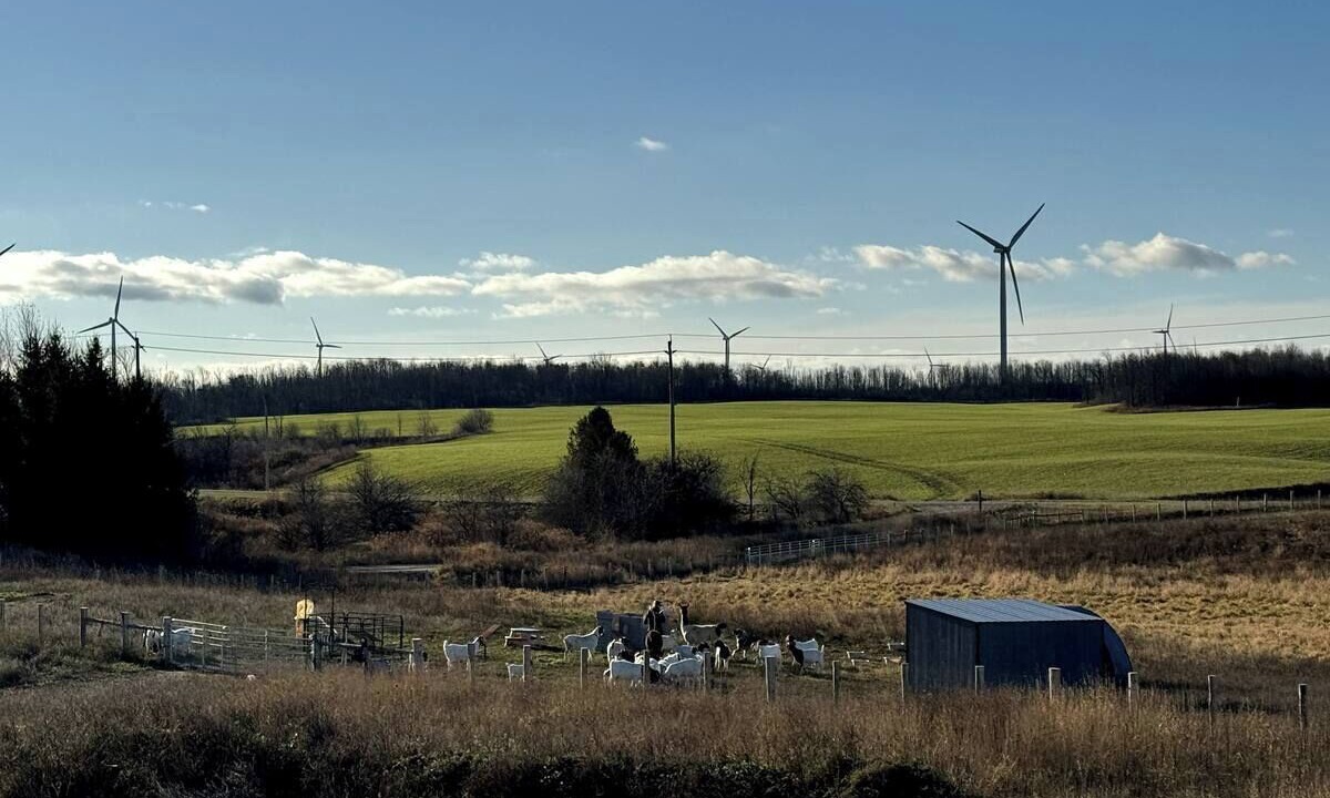 Photo of Others in Kincardine