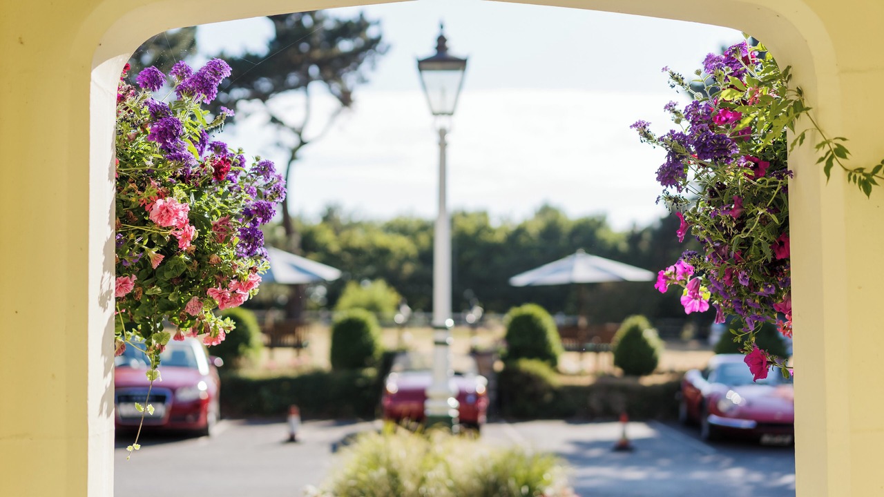 Photo of Outdoor in New Forest District