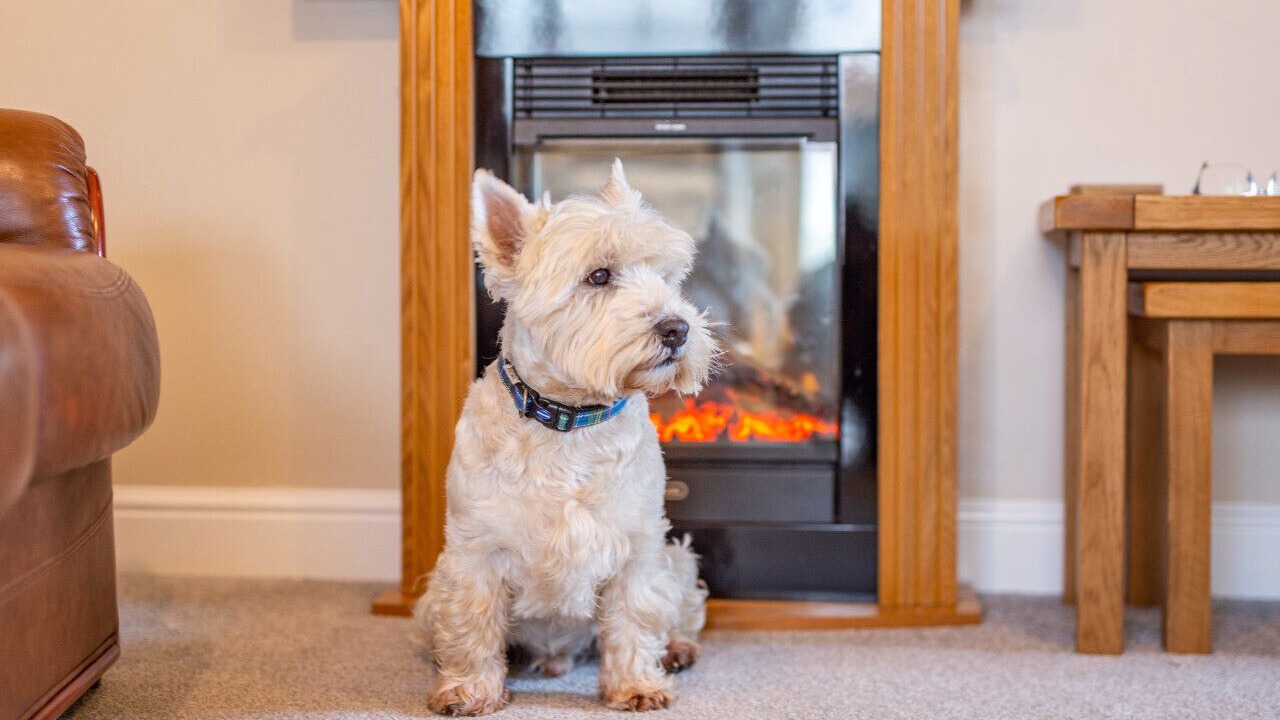 Photo of Others in Richmond