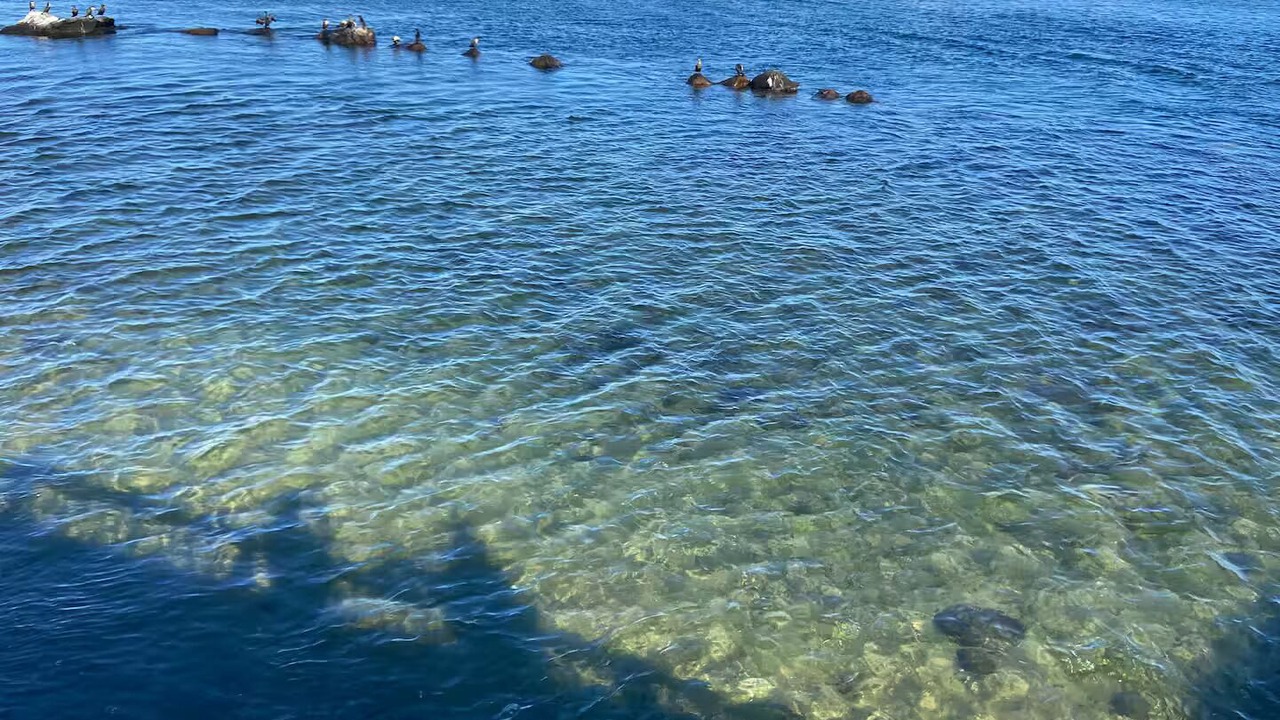 Photo of Others in Jerusalem