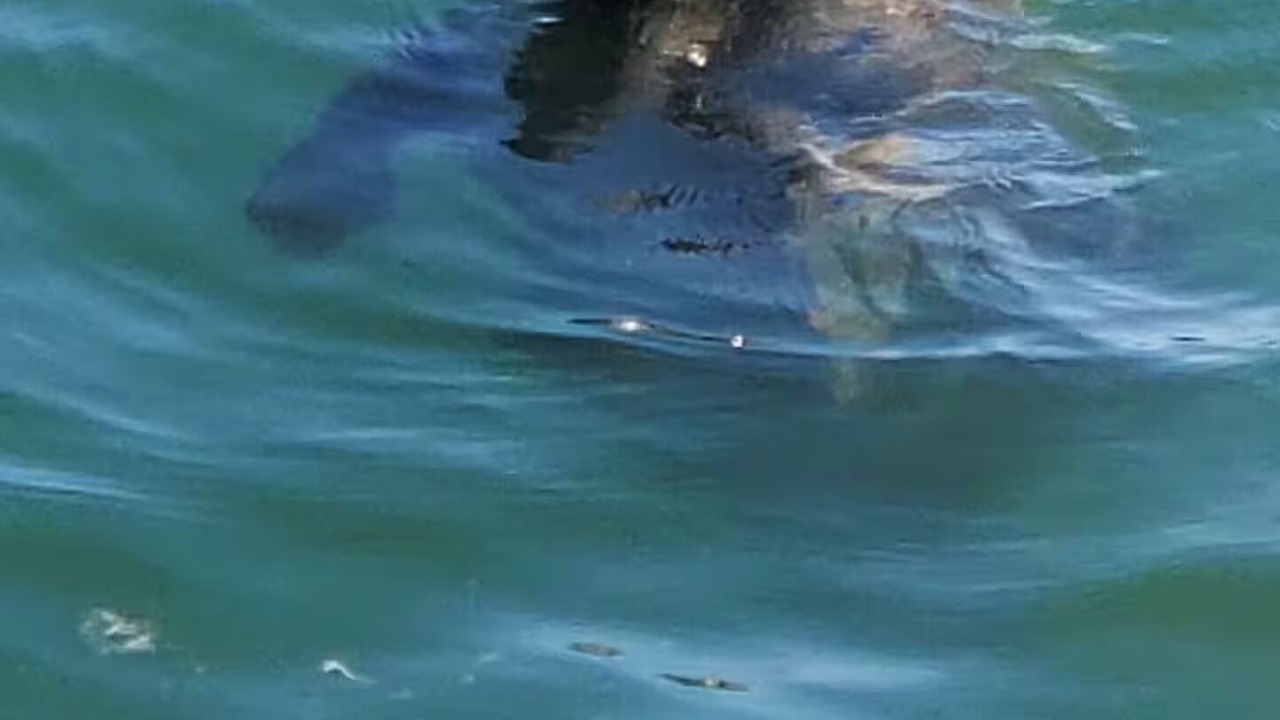 Photo of Others in Jerusalem