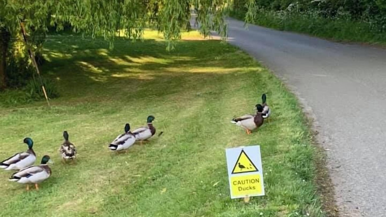 Photo of Outdoor in Bishop's Stortford