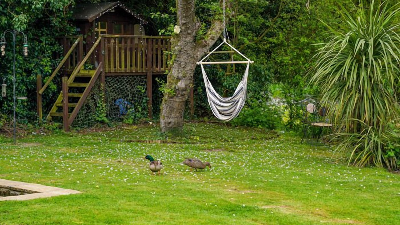 Photo of Outdoor in Bishop's Stortford