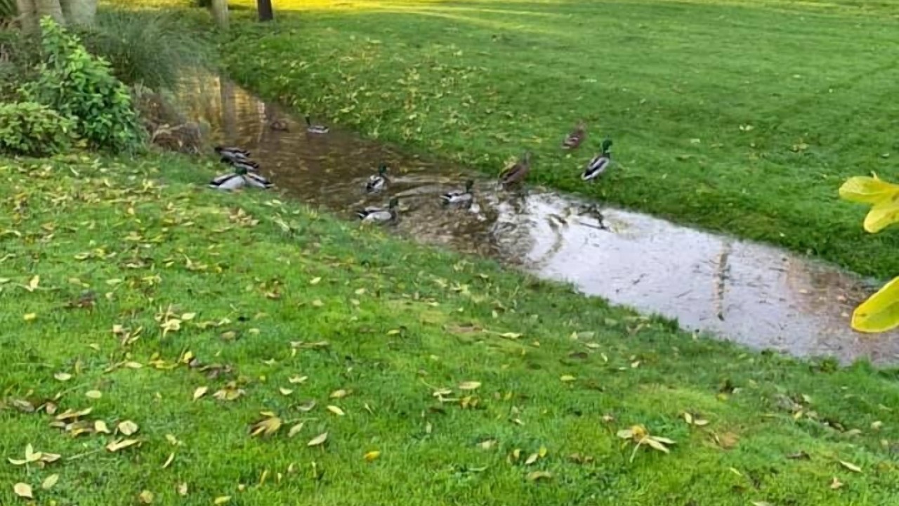 Photo of Outdoor in Bishop's Stortford