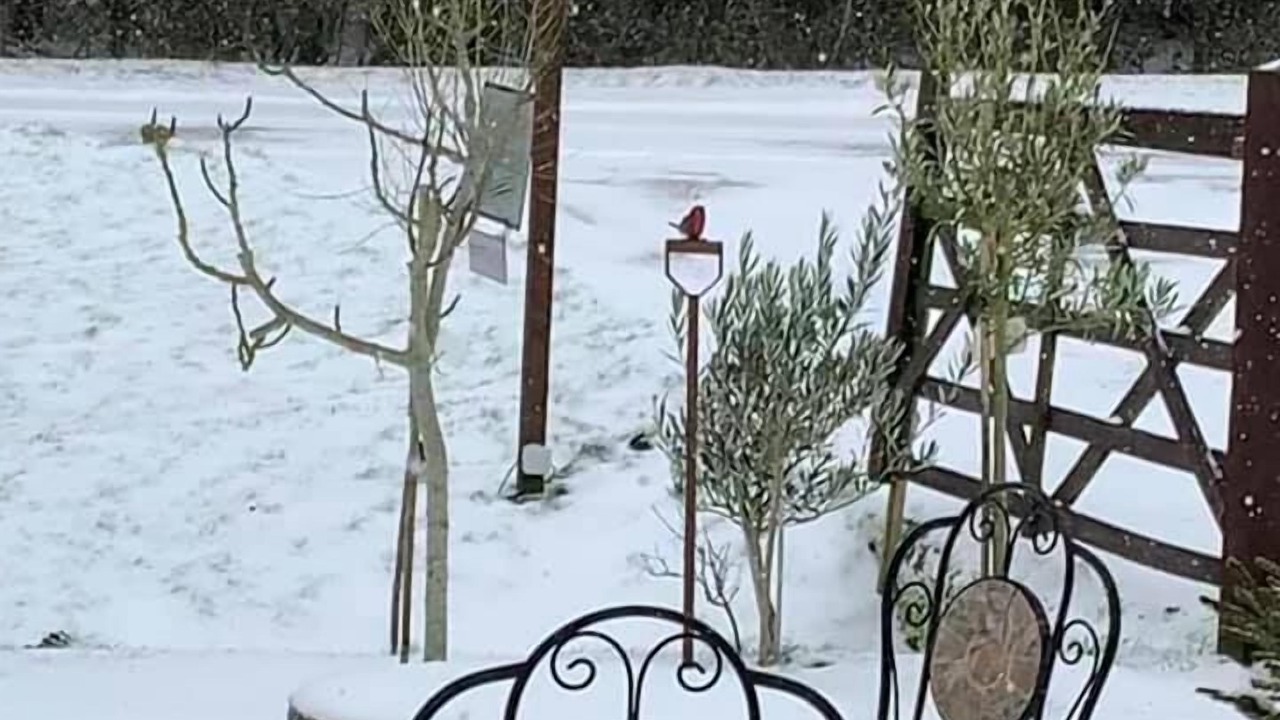 Photo of Outdoor in Bishop's Stortford