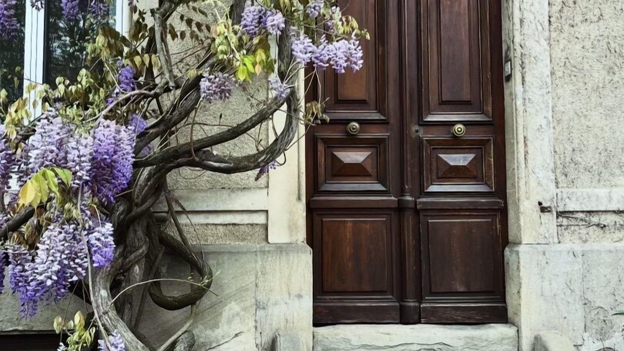 Photo of Outdoor in Bastide Saint-Louis