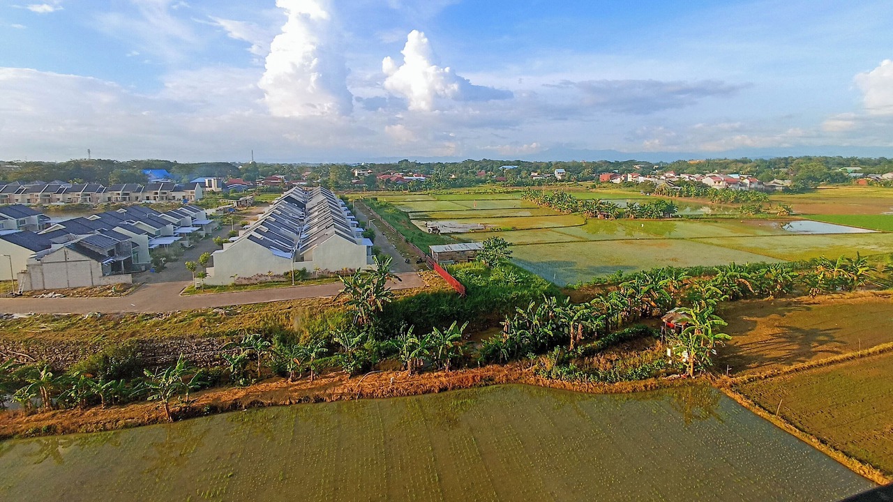 Photo of Outdoor in Biringkanya