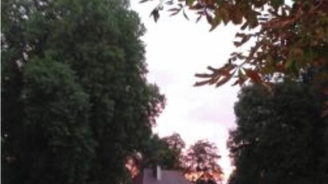 Photo of Others in Bressey-sur-Tille