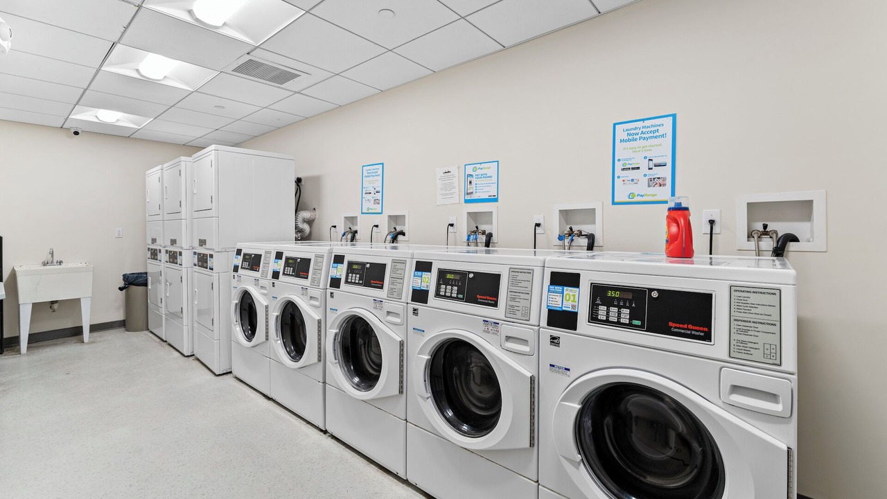 Photo of Others in South of Washington