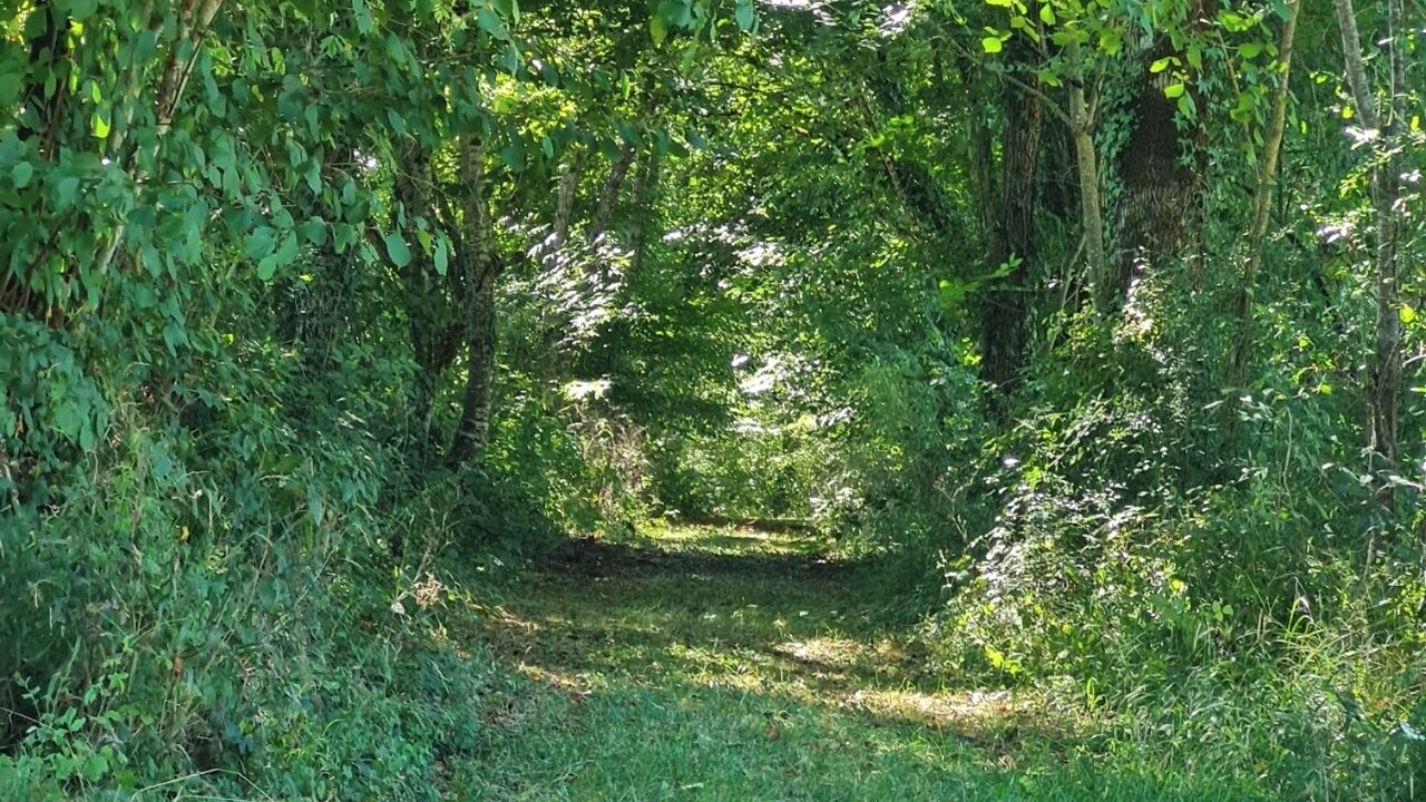 Photo of Outdoor in Agonac