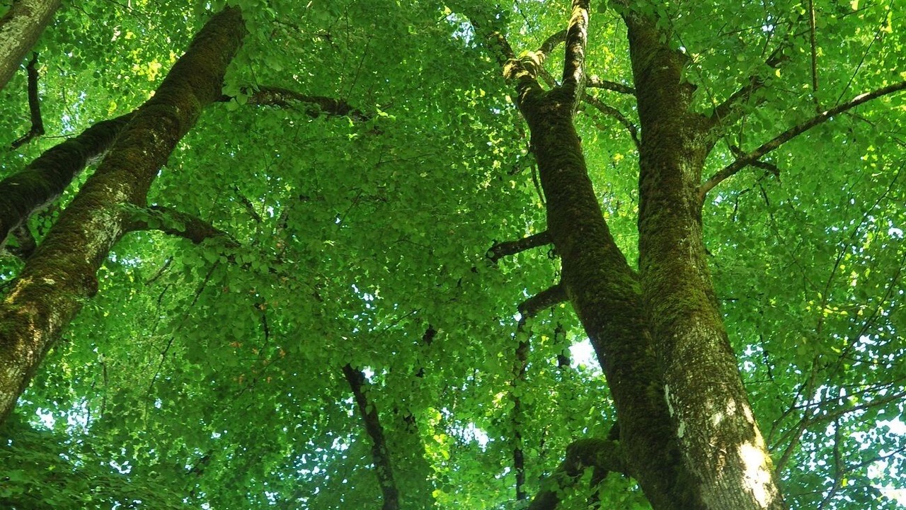 Photo of Outdoor in Agonac