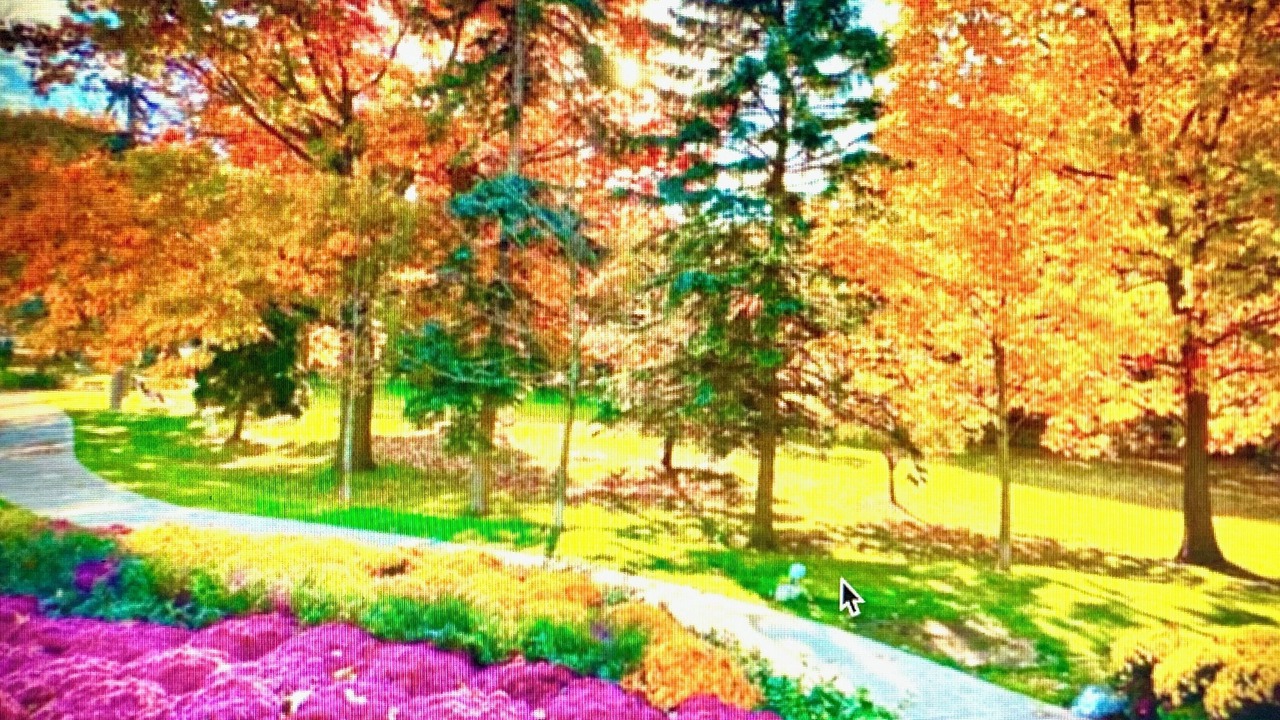 Photo of Outdoor in The Beaches