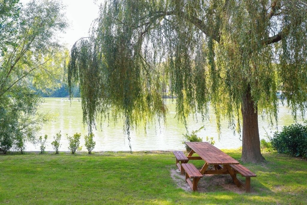 Photo of Outdoor in Avon