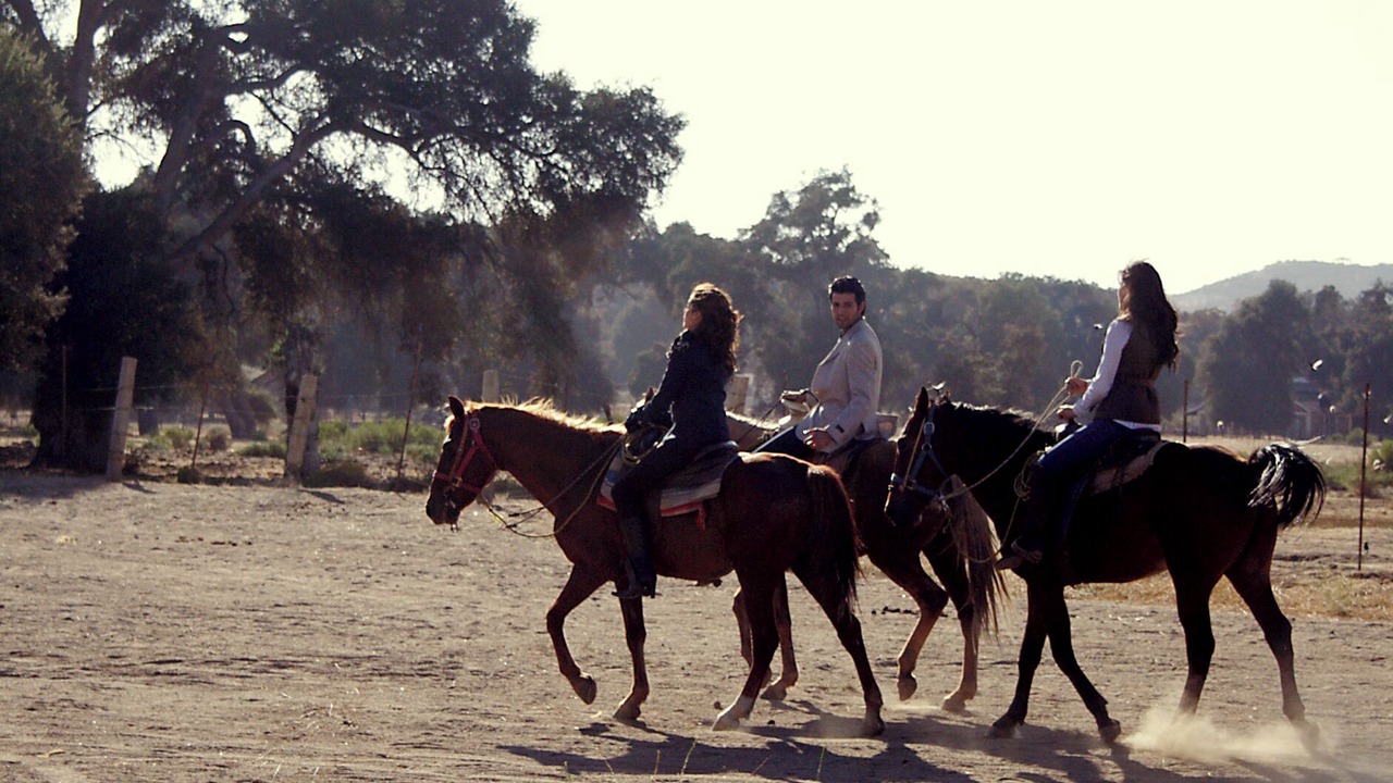 Photo of Outdoor in Santa Veronica