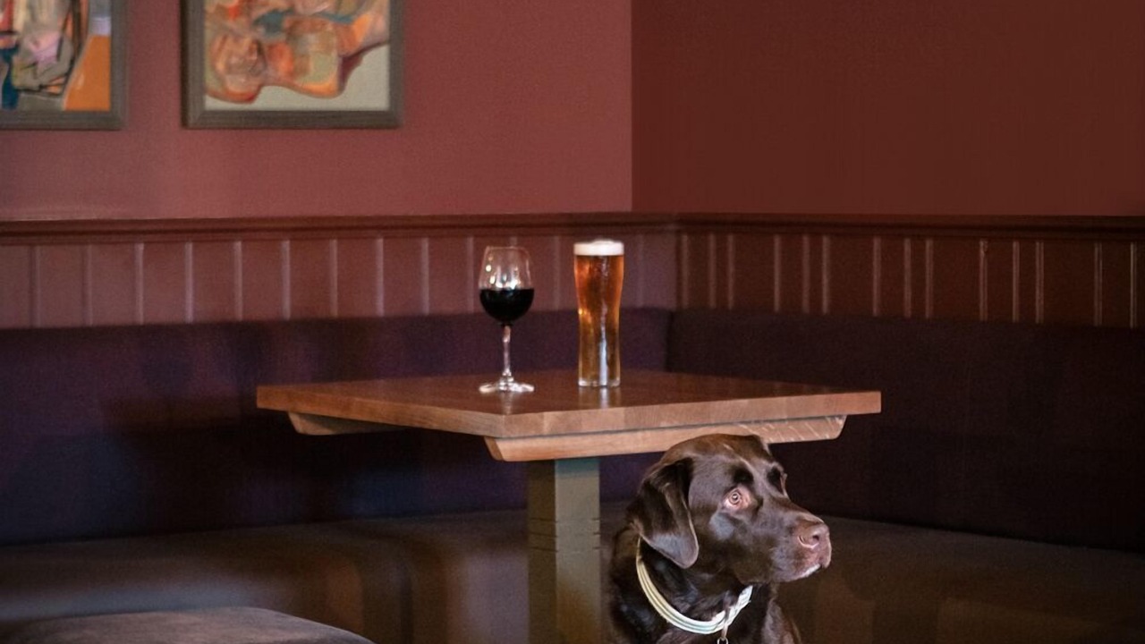 Photo of Others in North East Derbyshire