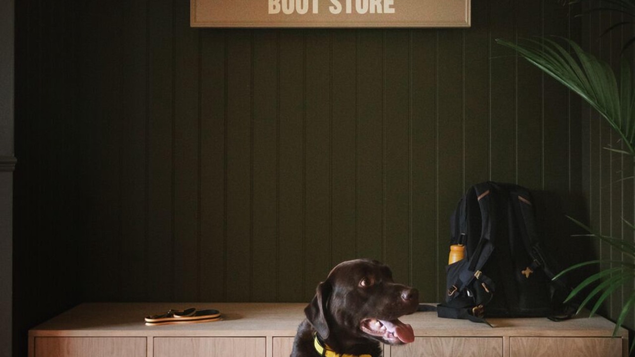 Photo of Others in North East Derbyshire