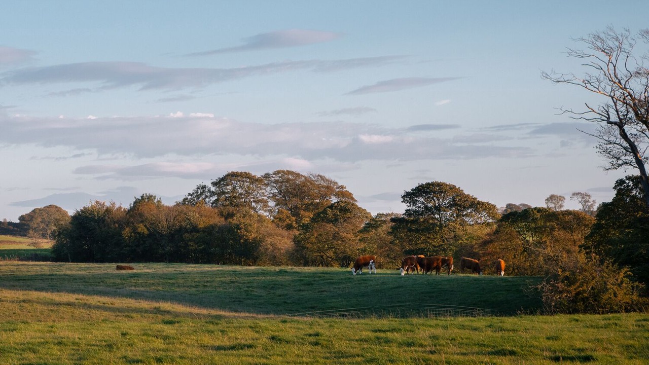 Photo of Outdoor in North East Derbyshire