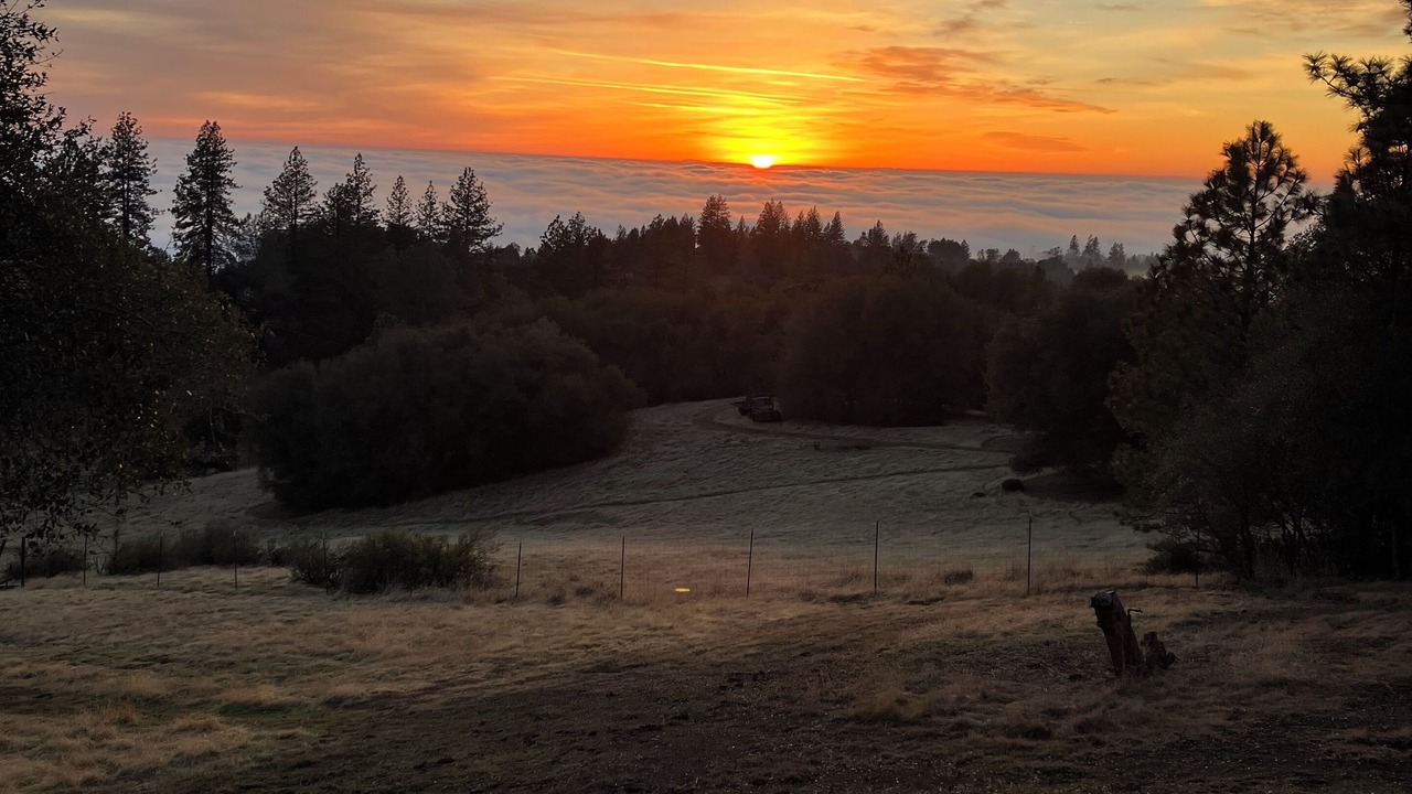 Photo of Others in Fiddletown