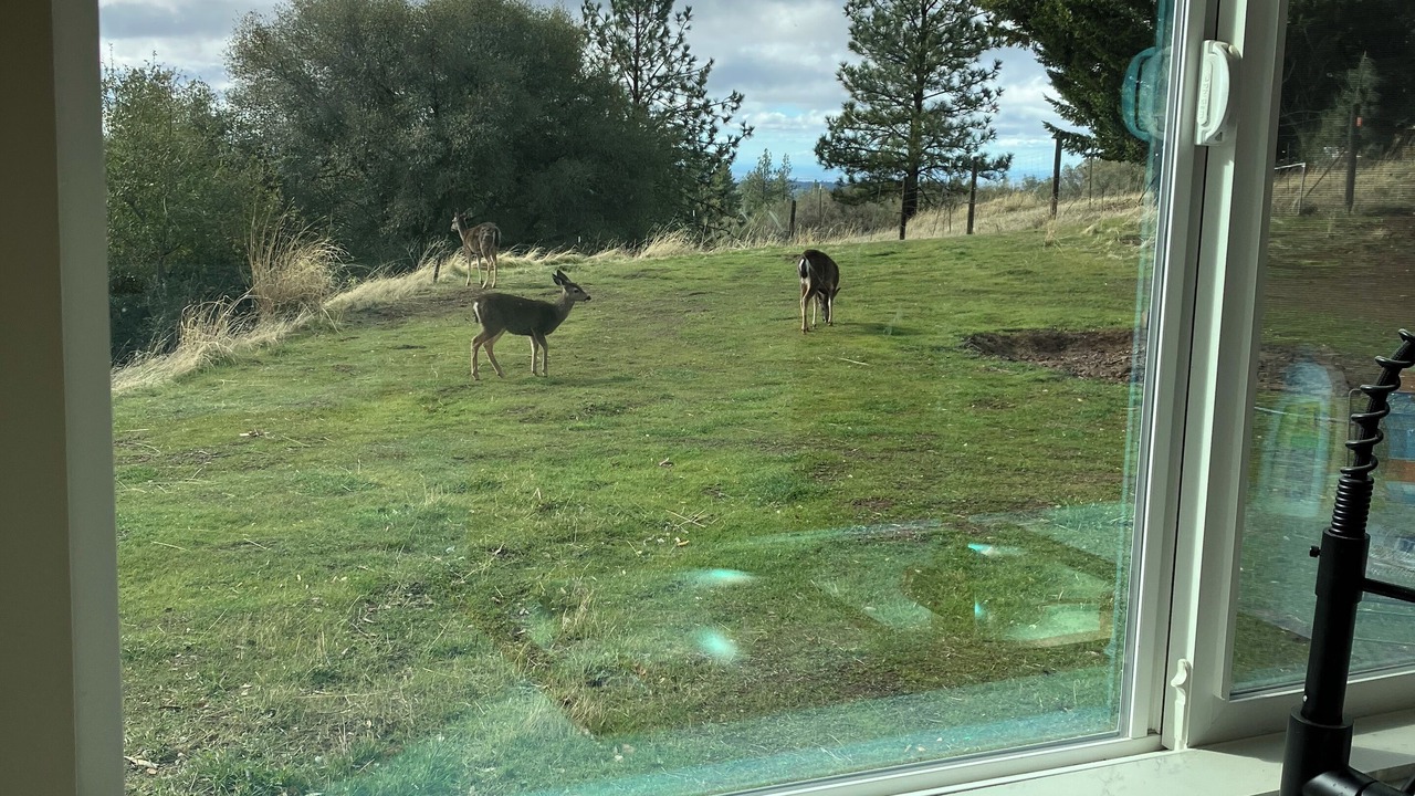 Photo of Others in Fiddletown