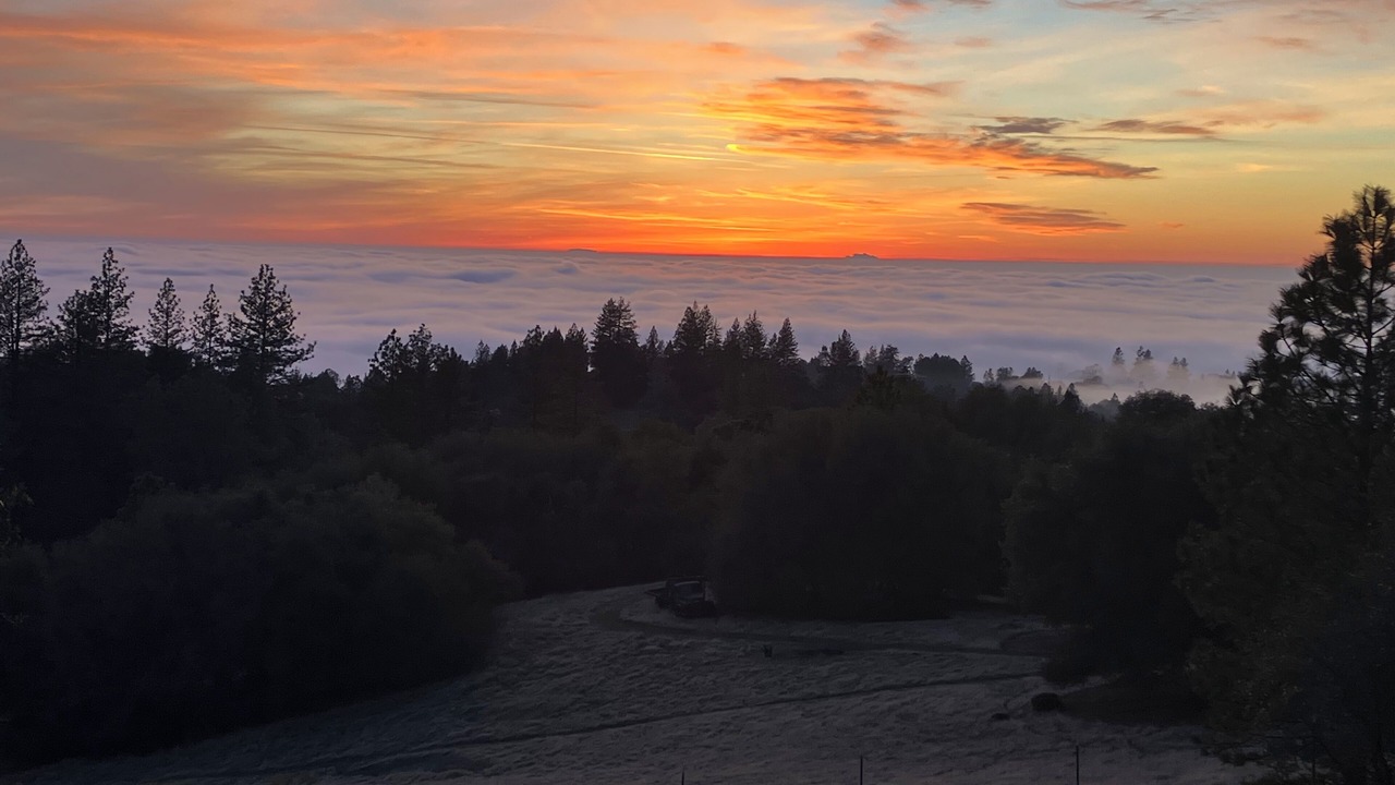 Photo of Others in Fiddletown