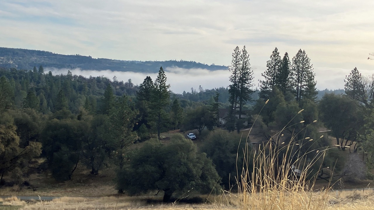 Photo of Others in Fiddletown