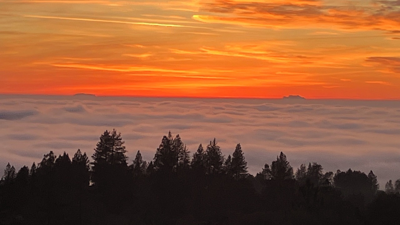 Photo of Others in Fiddletown