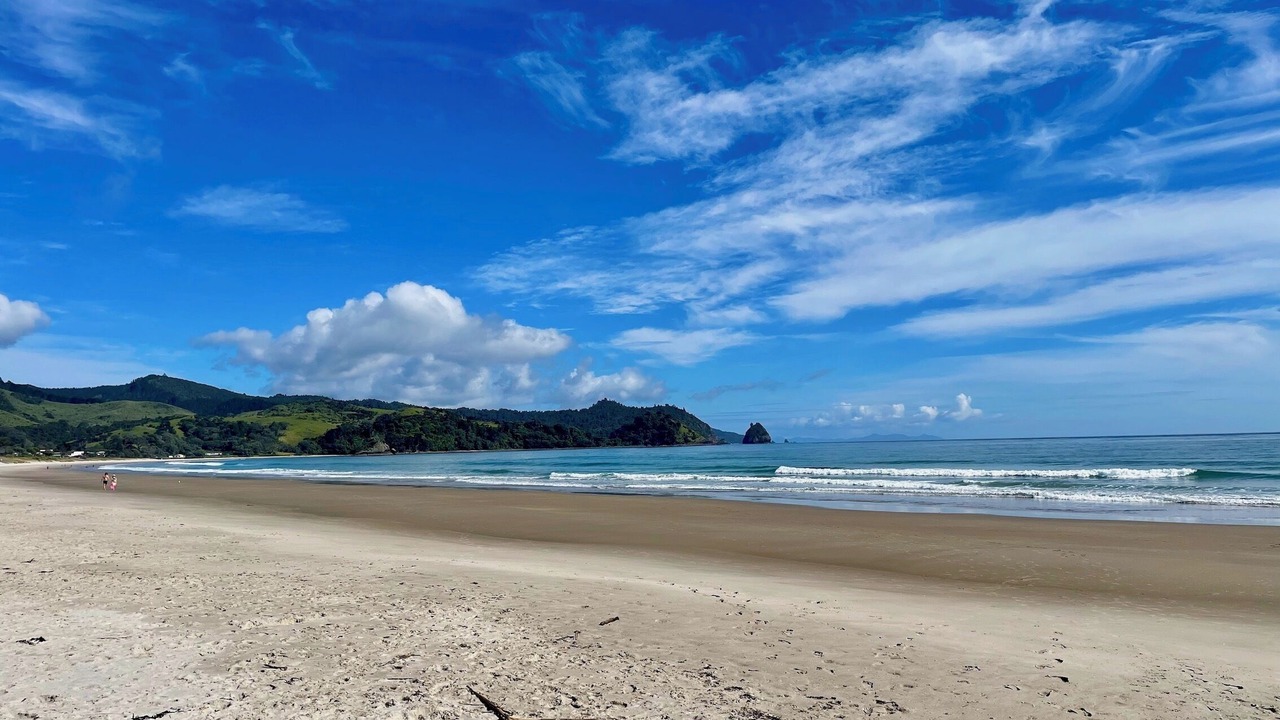 Photo of Others in Whangapoua