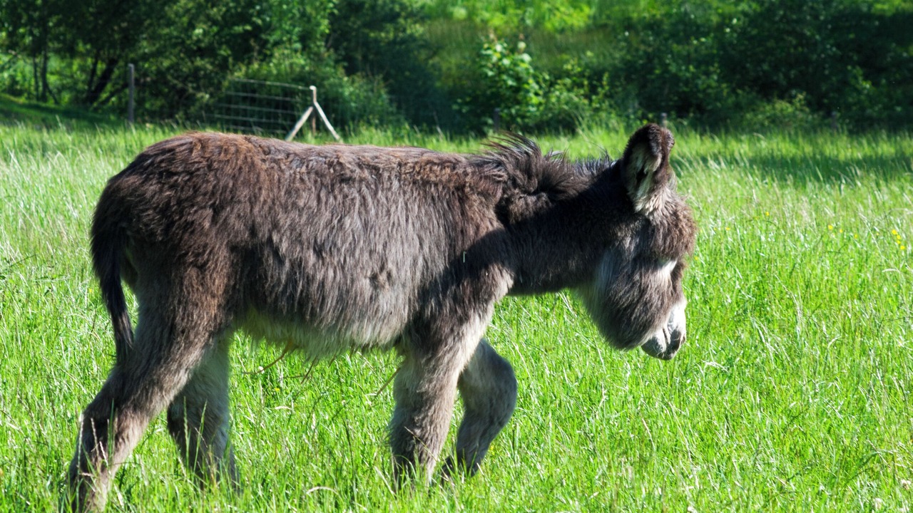 Photo of Others in La Ville-aux-Clercs