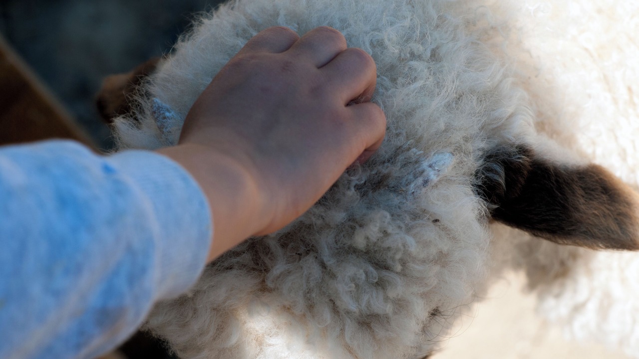 Photo of Others in La Ville-aux-Clercs