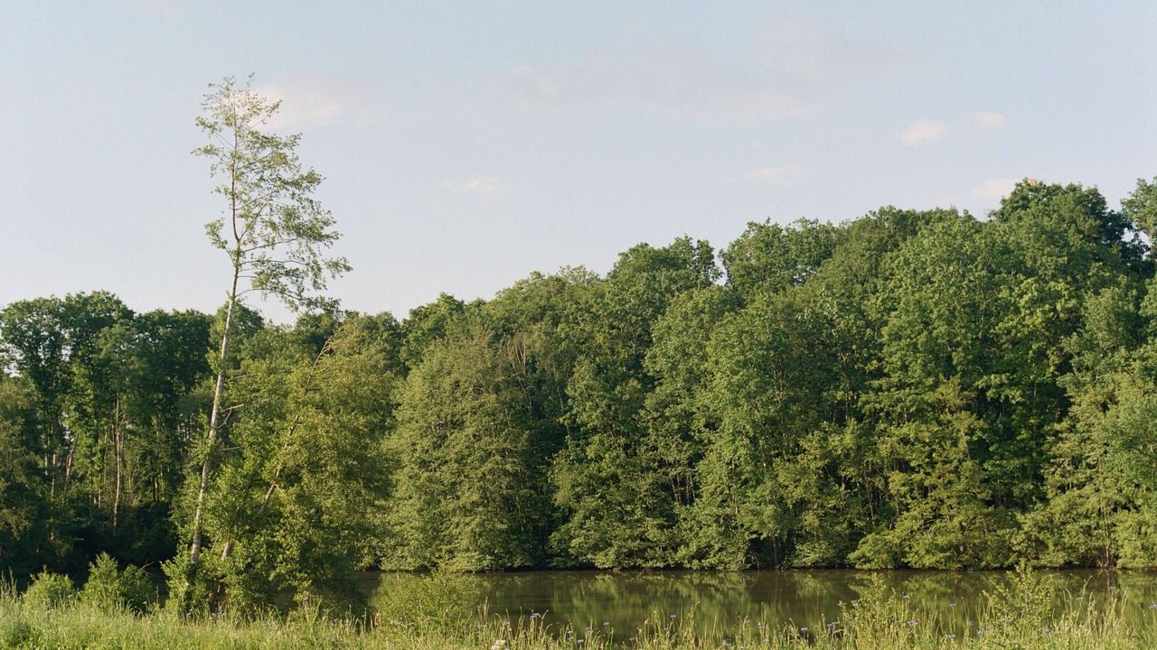 Photo of Outdoor in La Ville-aux-Clercs