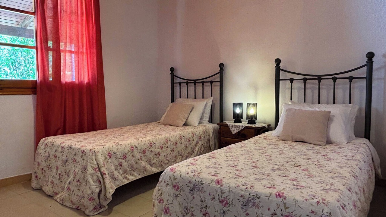 Photo of Others in Petaleia