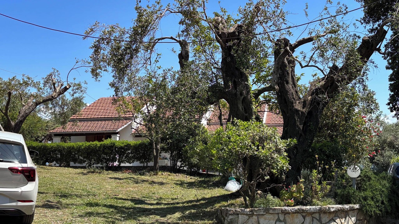 Photo of Outdoor in Petaleia