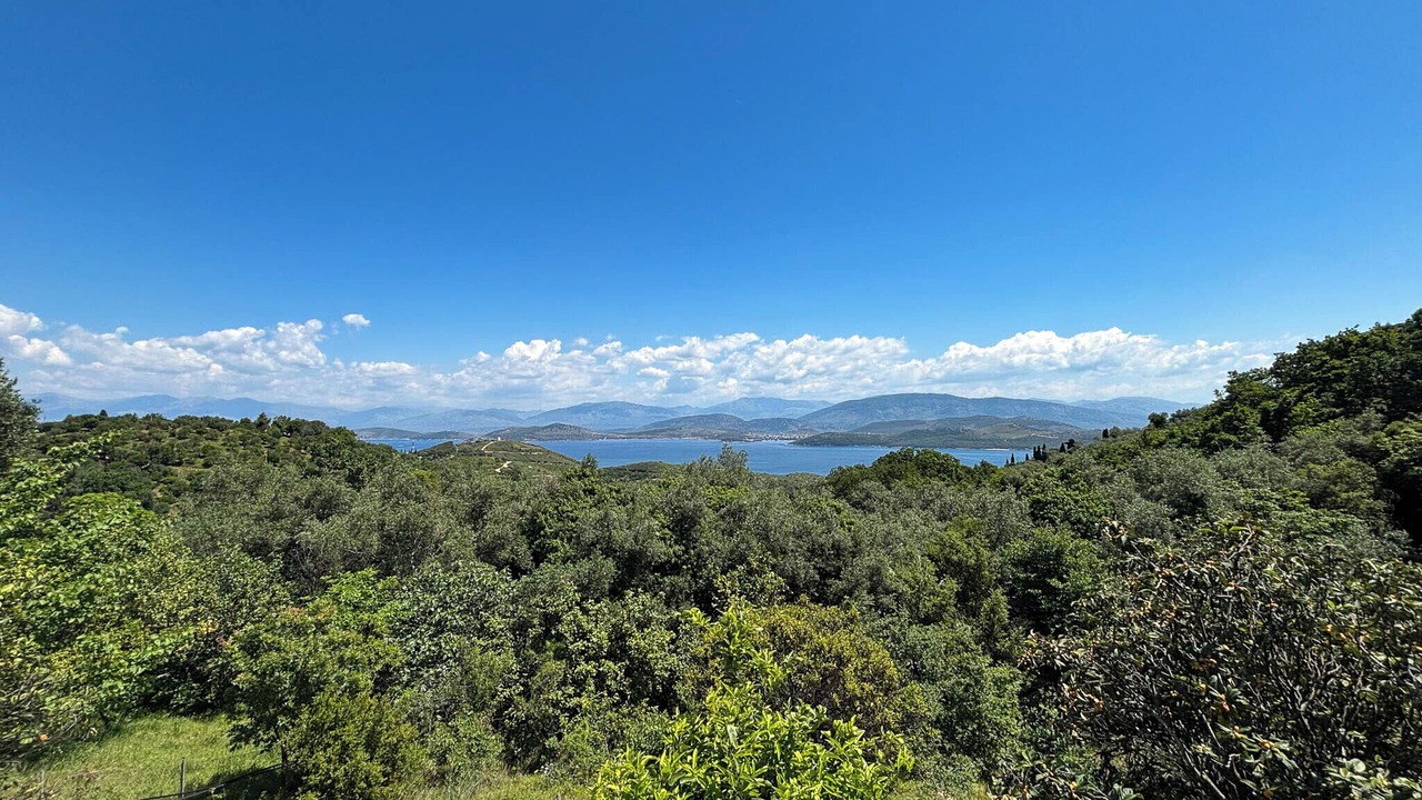 Photo of Others in Petaleia