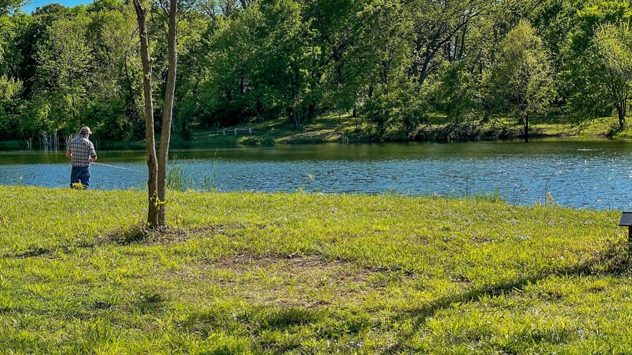 Photo of Outdoor in Kingston