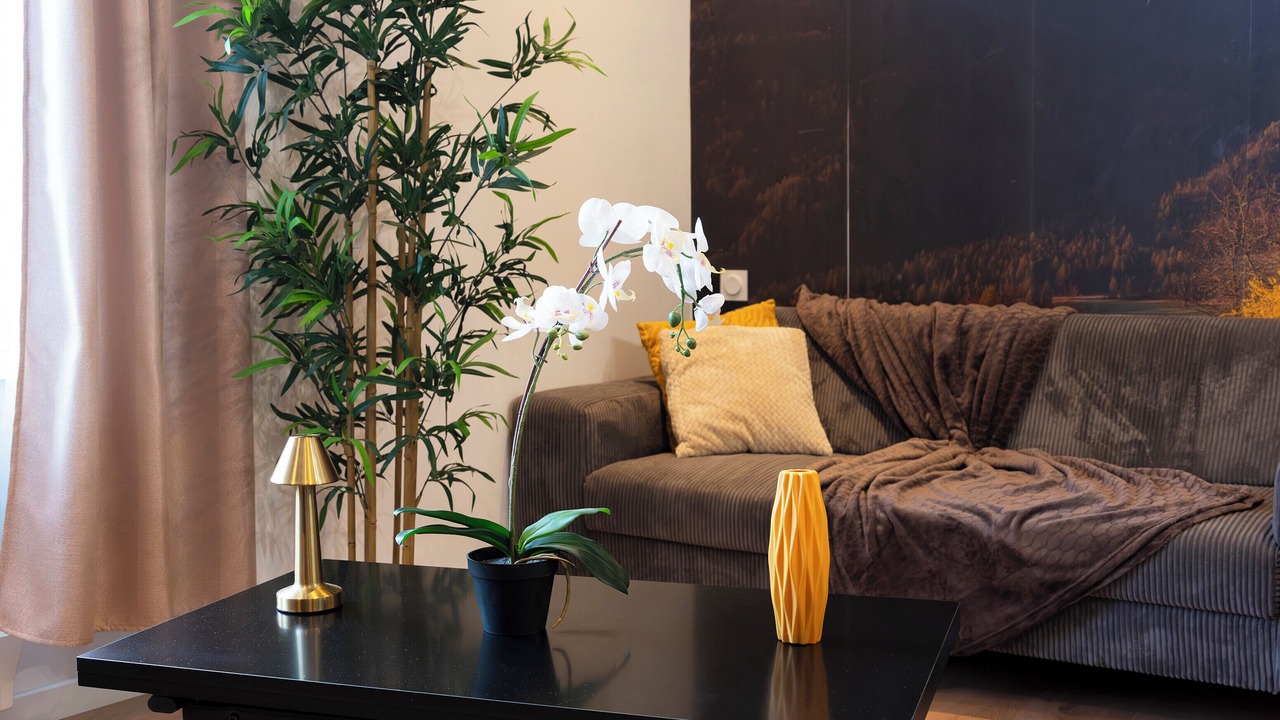 Photo of Others in Thionville