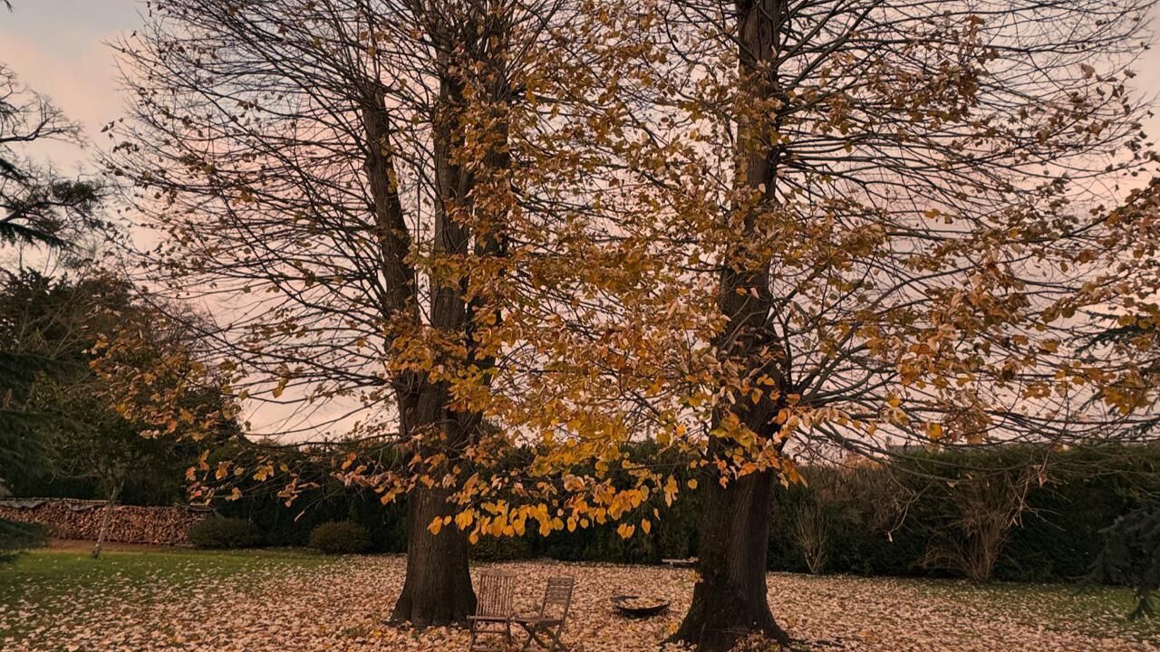 Photo of Outdoor in La Fleche