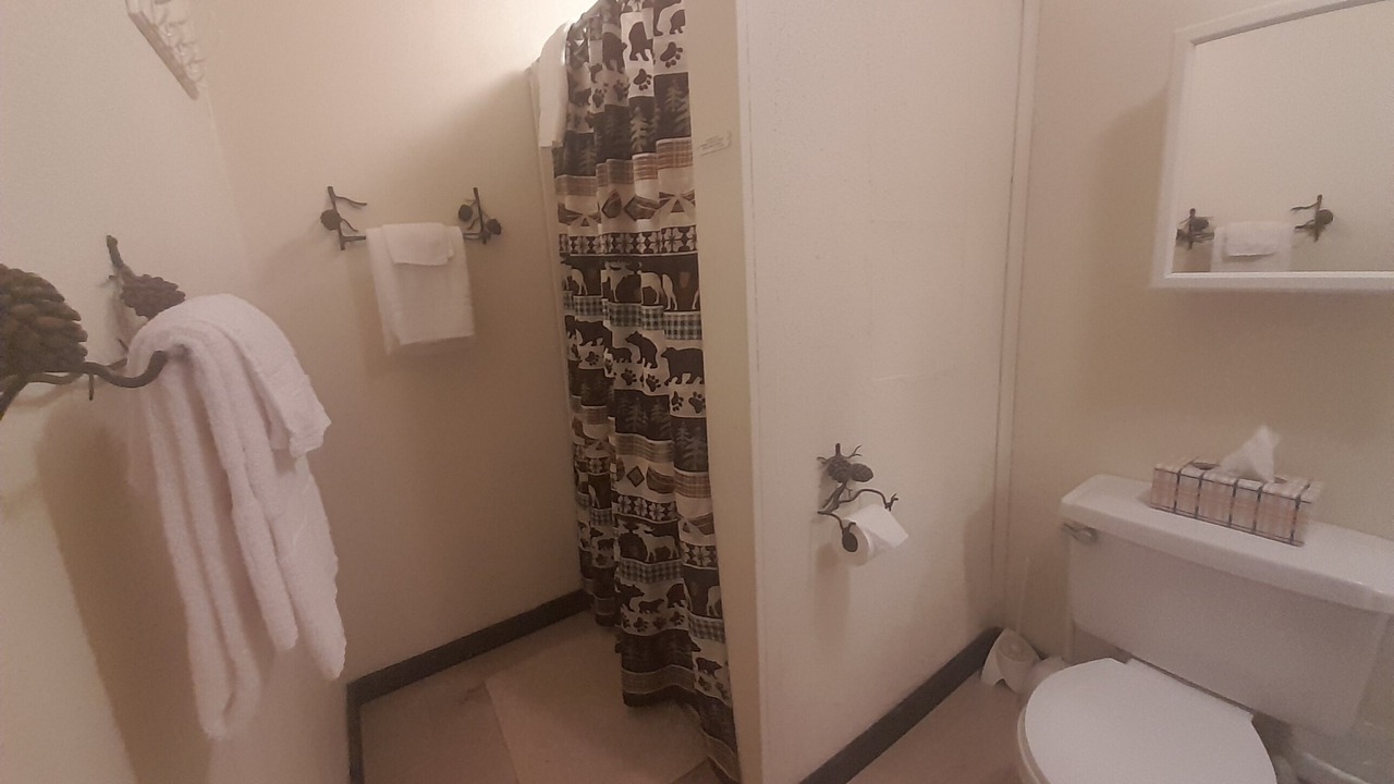 Photo of Bathroom in Blue Mountain Lake