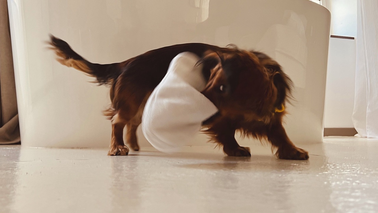 Photo of Others in Marsanne