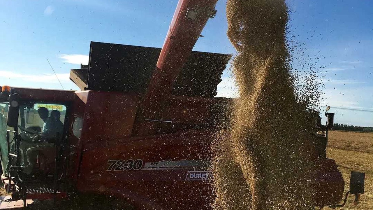 Photo of Others in Bailly