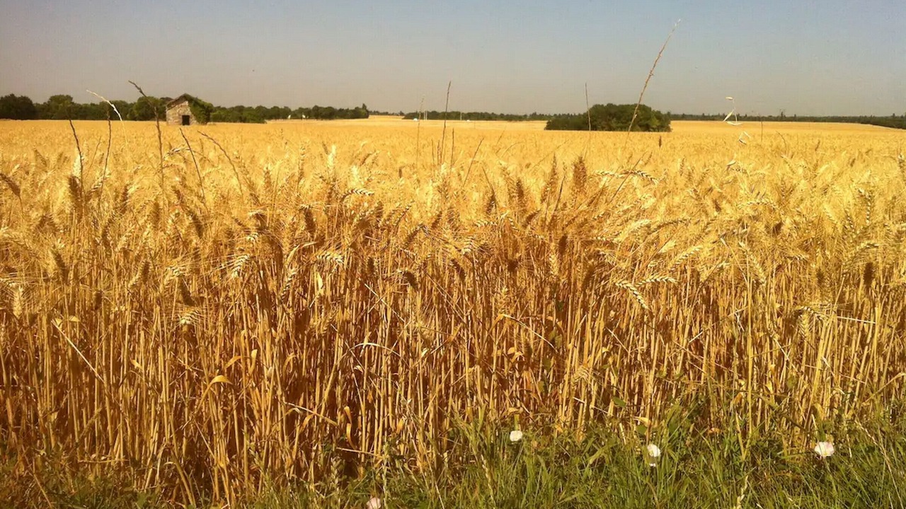 Photo of Others in Bailly