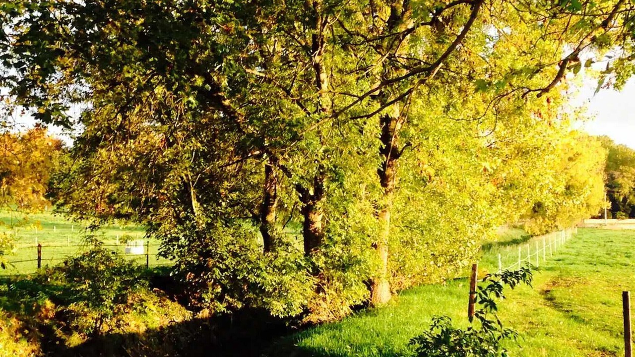 Photo of Others in Bailly