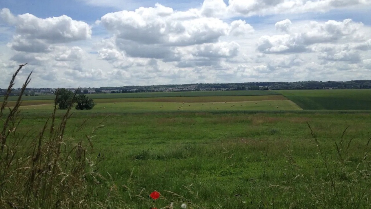 Photo of Others in Bailly