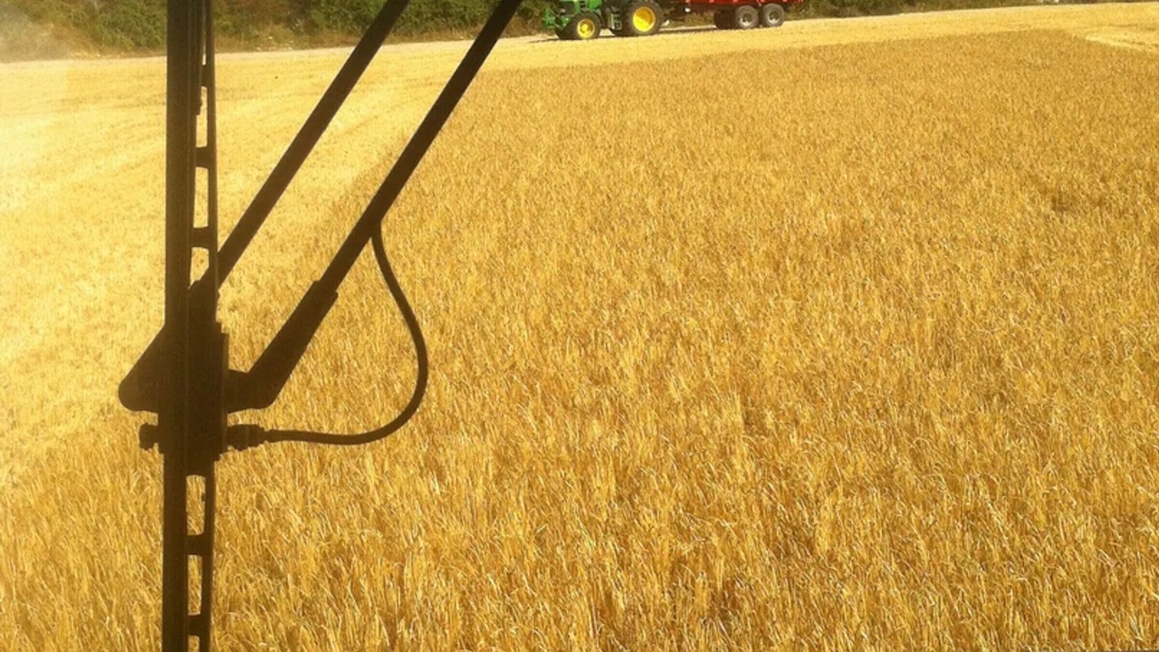 Photo of Others in Bailly