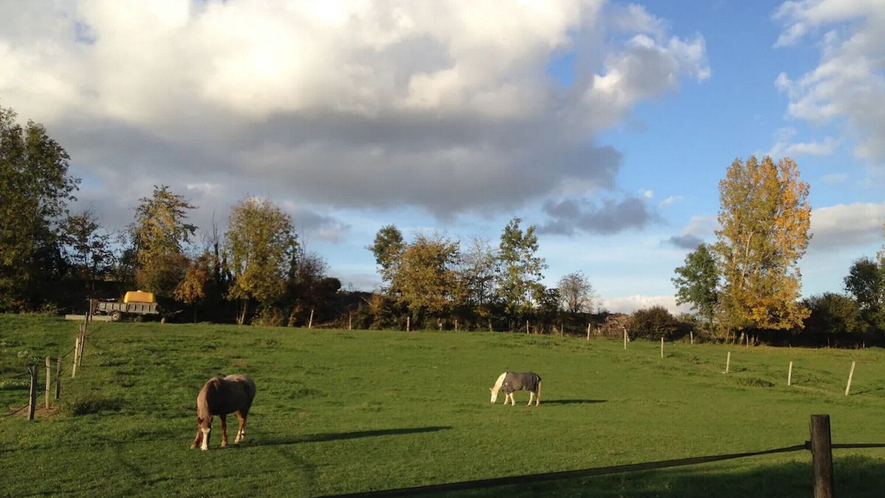 Photo of Others in Bailly