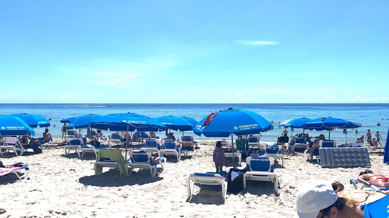 Photo of Others in Hallandale Beach