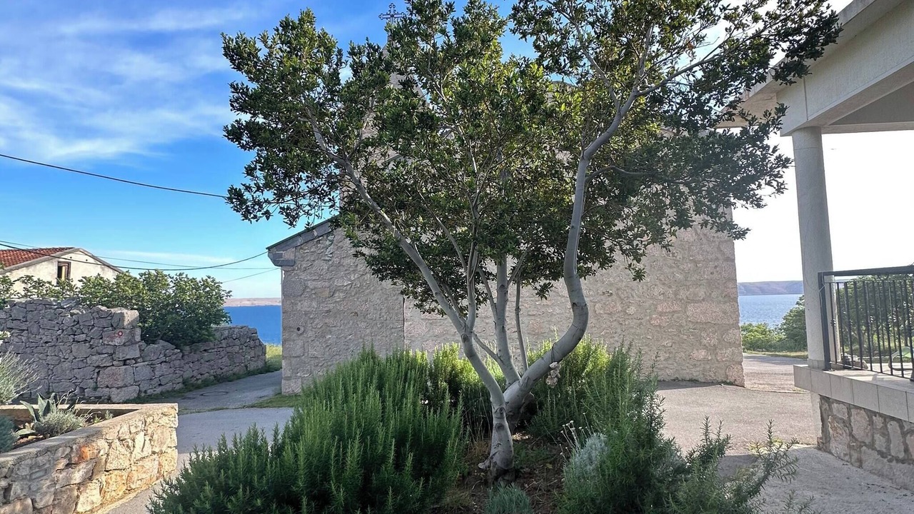 Photo of Outdoor in Baric Draga