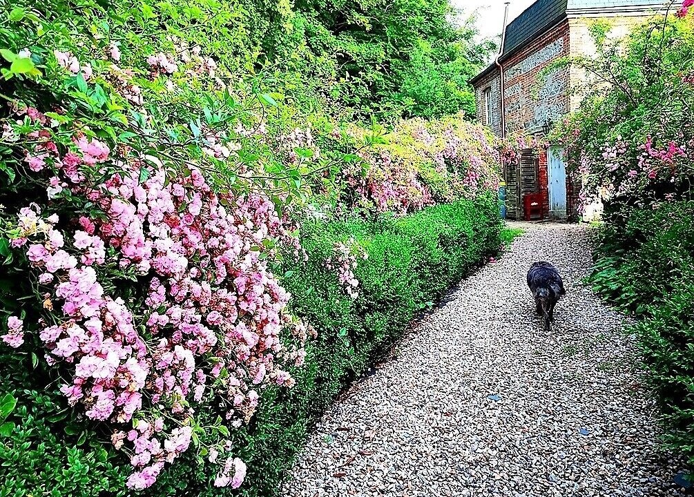 Photo of Outdoor in Sassetot-le-Mauconduit